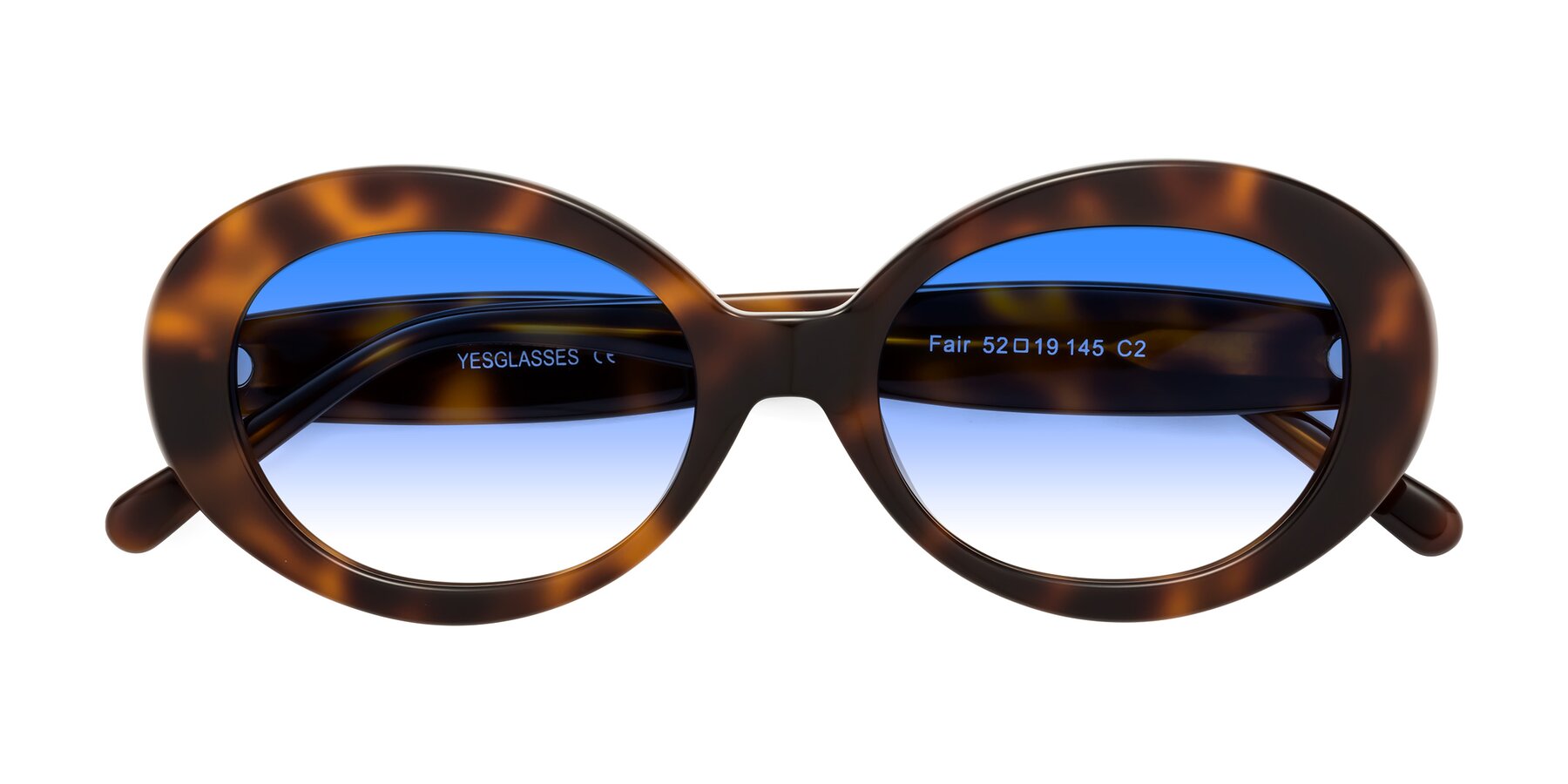 Folded Front of Fair in Tortoise with Blue Gradient Lenses