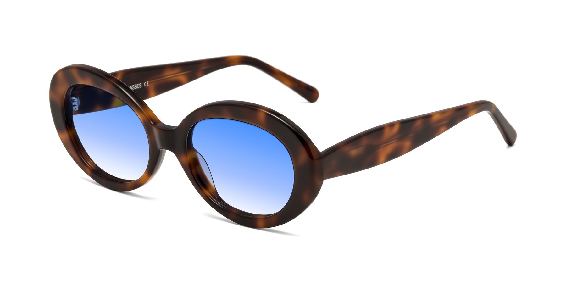 Angle of Fair in Tortoise with Blue Gradient Lenses