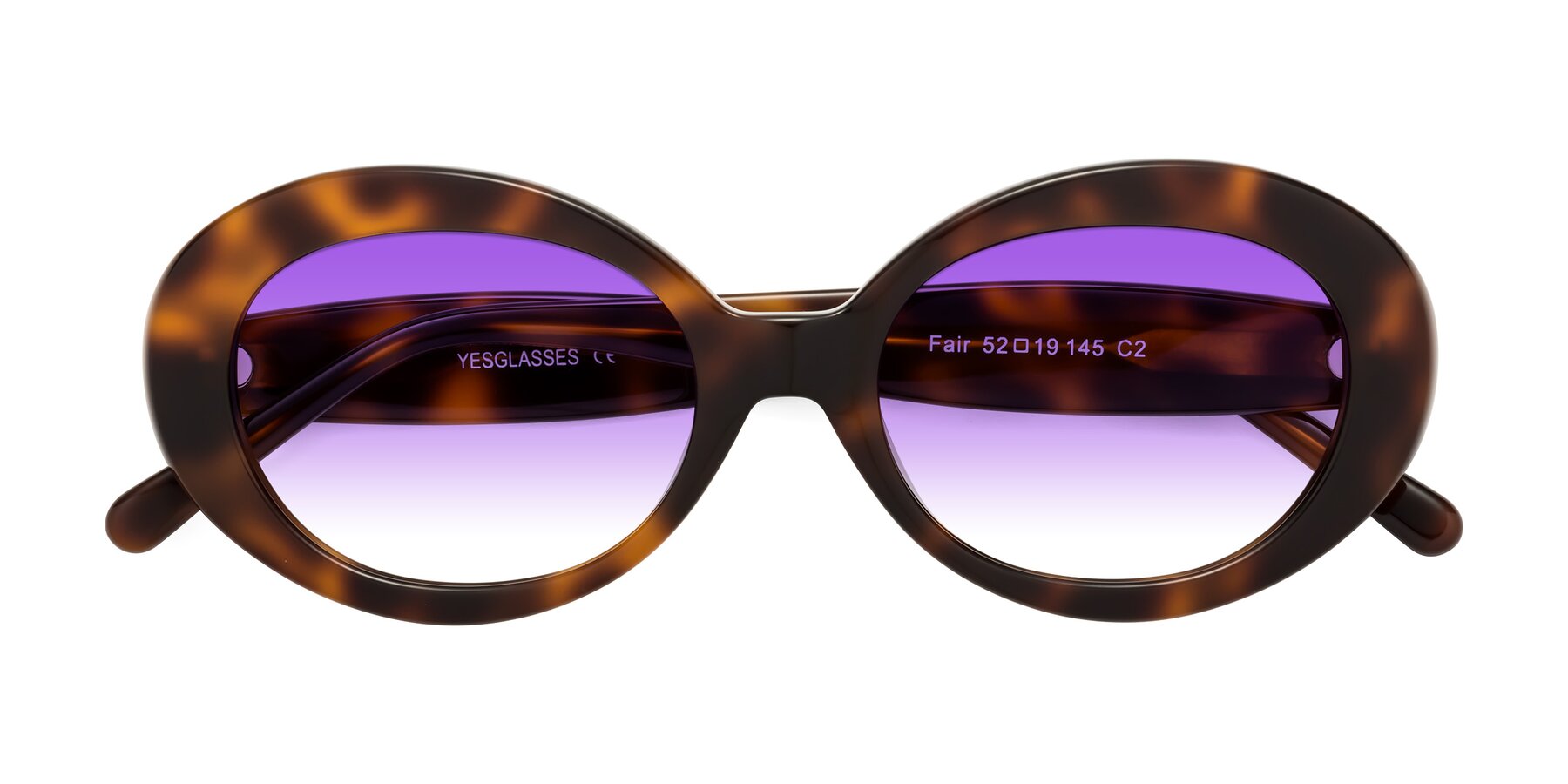 Folded Front of Fair in Tortoise with Purple Gradient Lenses