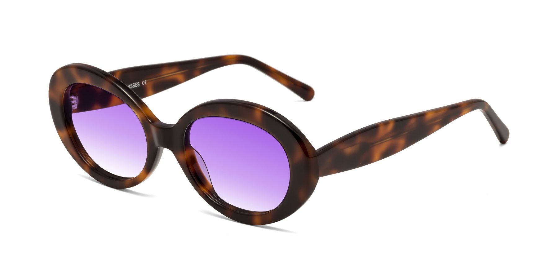 Angle of Fair in Tortoise with Purple Gradient Lenses