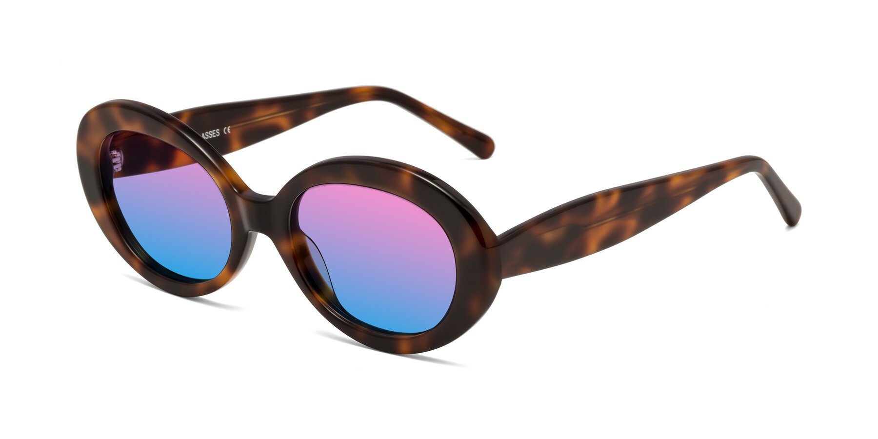 Angle of Fair in Tortoise with Pink / Blue Gradient Lenses