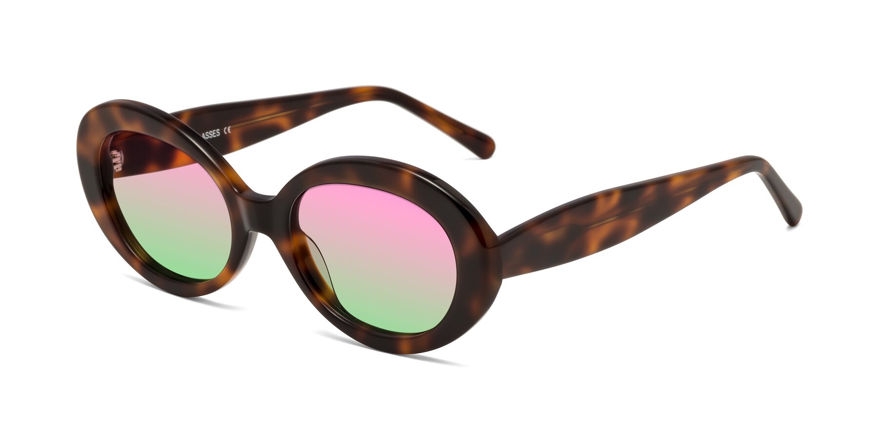 Angle of Fair in Tortoise with Pink / Green Gradient Lenses