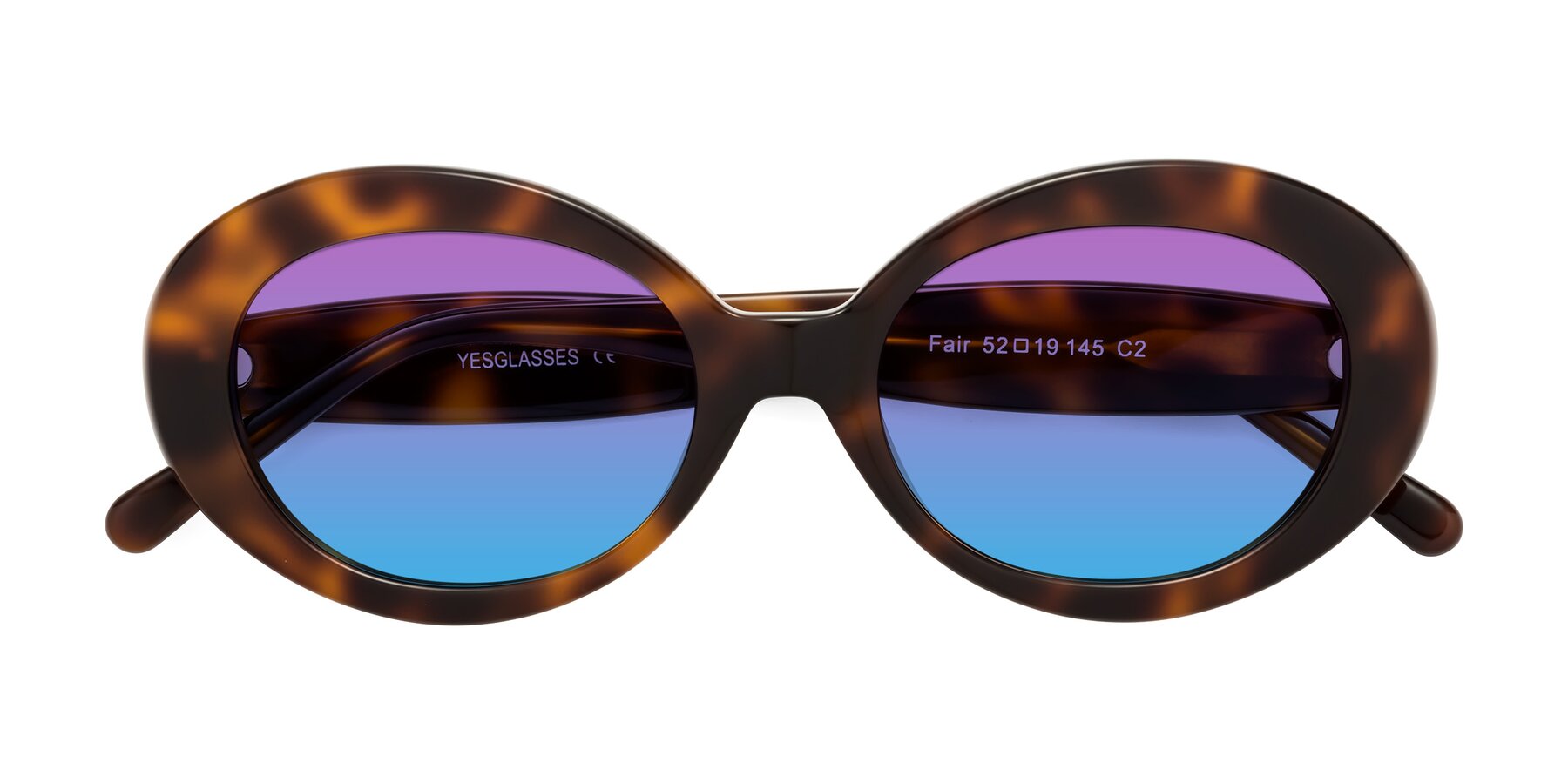 Folded Front of Fair in Tortoise with Purple / Blue Gradient Lenses