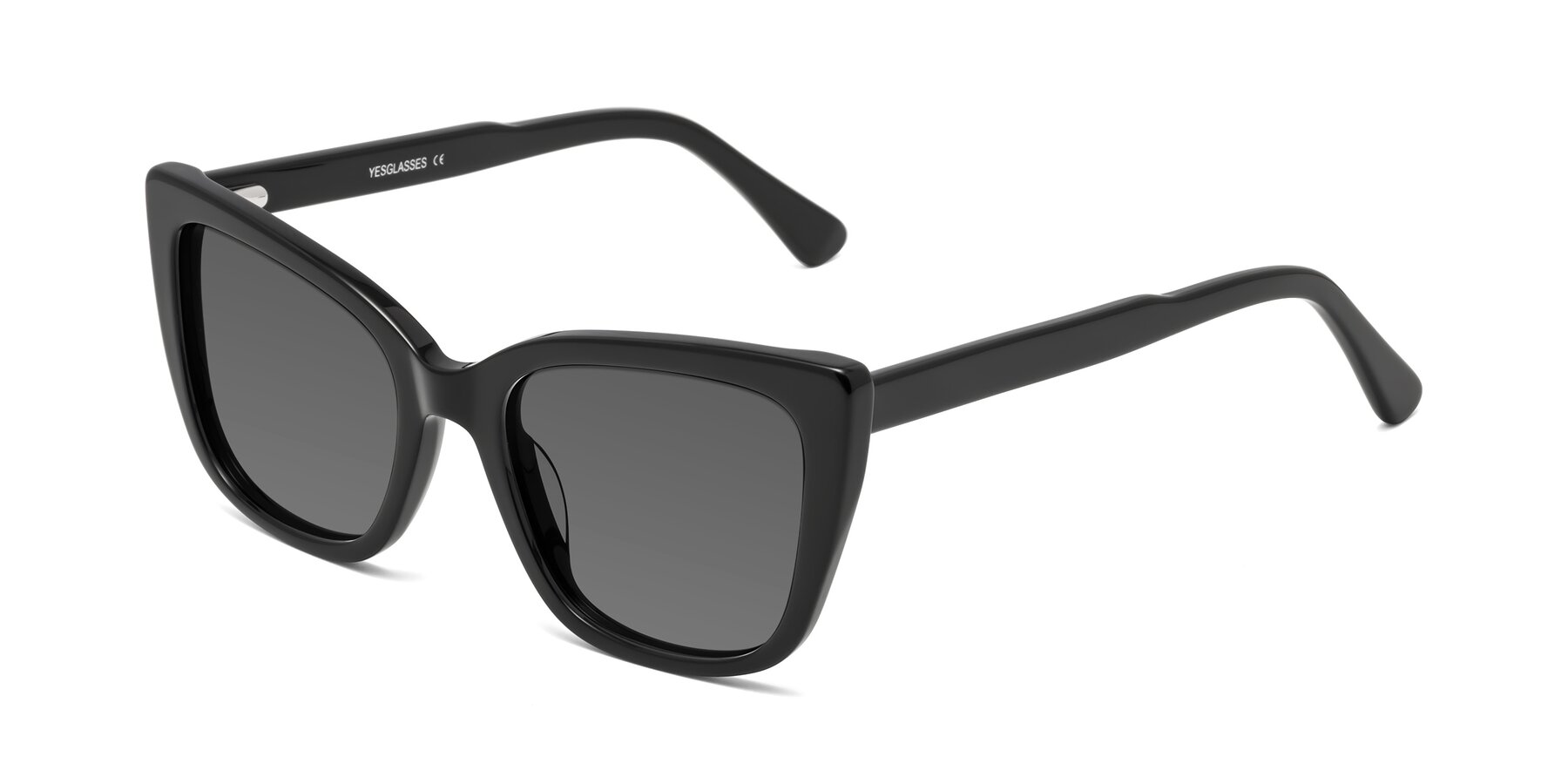 Angle of Sites in Black with Medium Gray Tinted Lenses