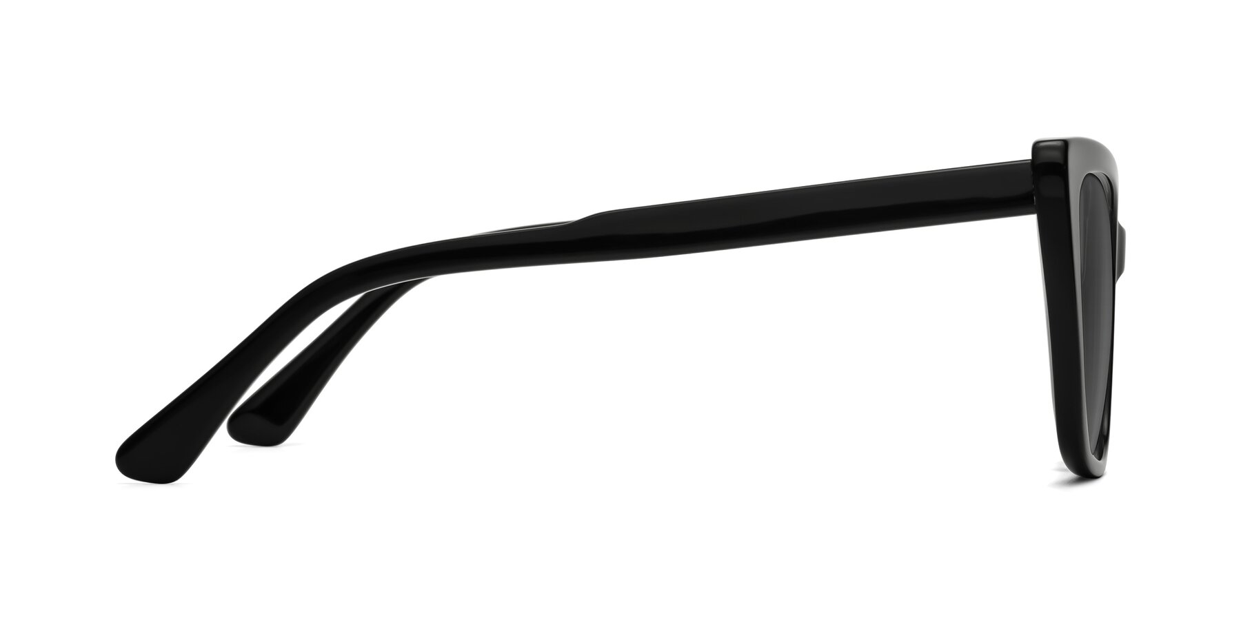 Side of Sites in Black with Medium Gray Tinted Lenses