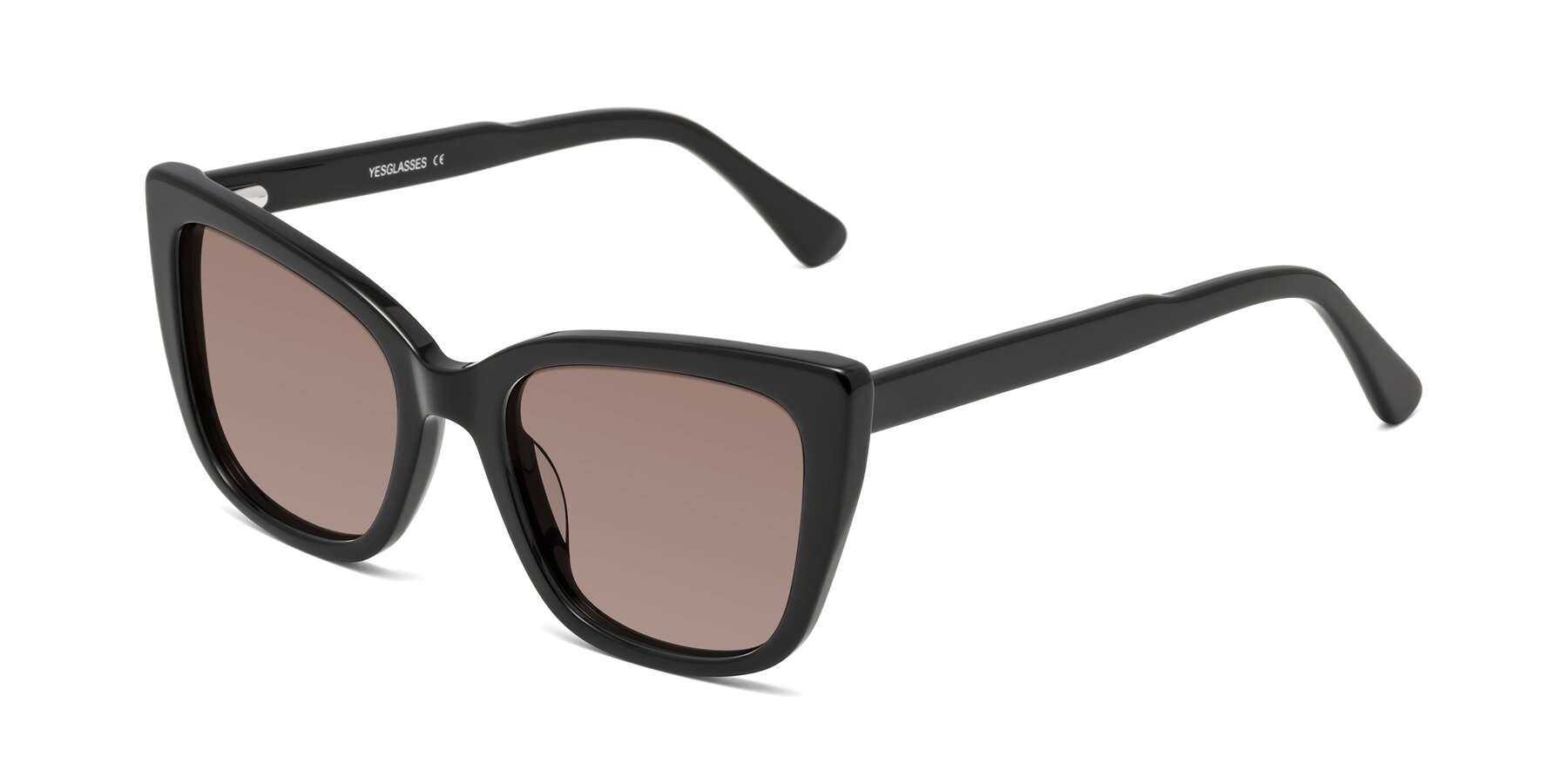 Angle of Sites in Black with Medium Brown Tinted Lenses