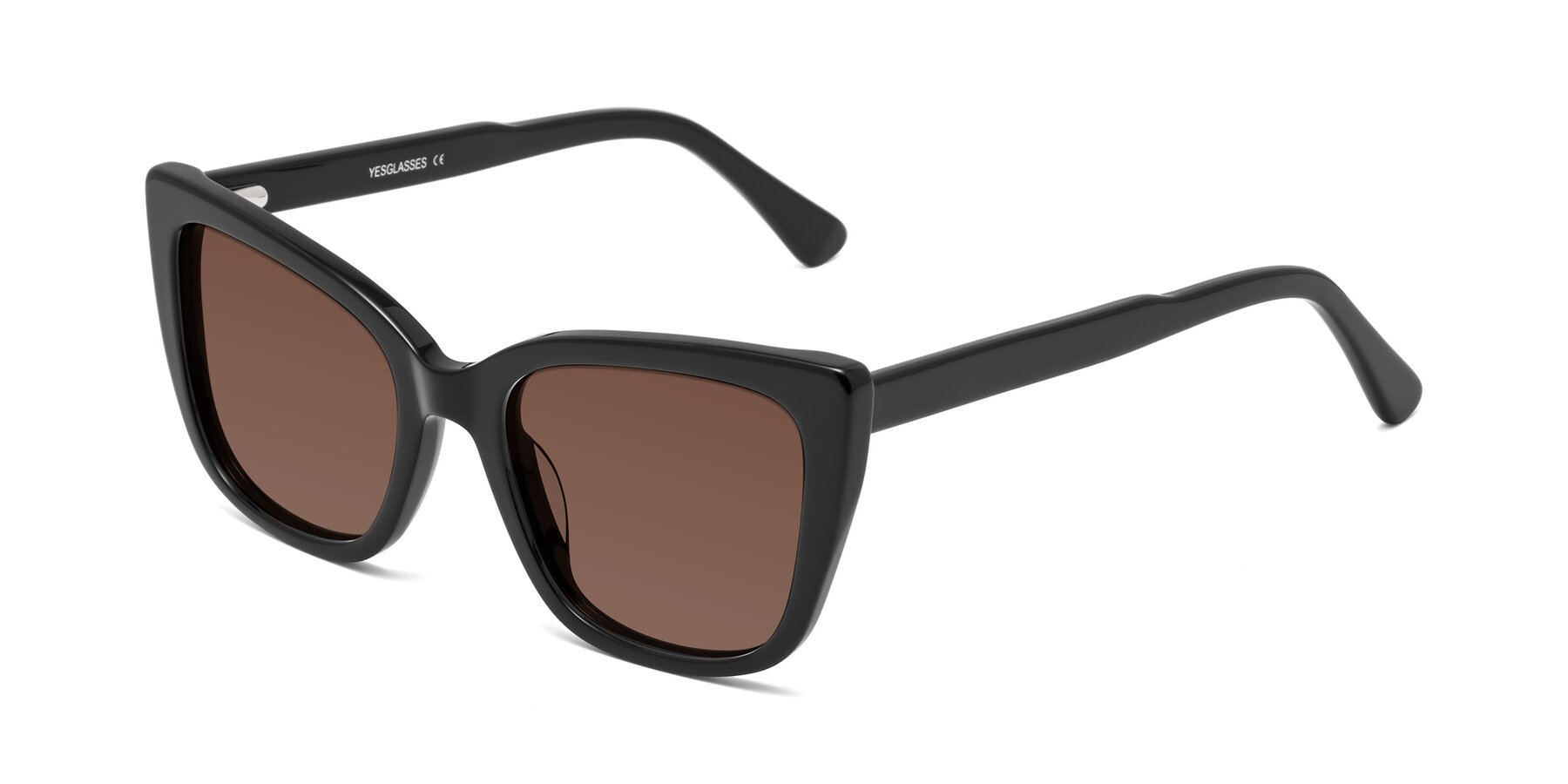Angle of Sites in Black with Brown Tinted Lenses