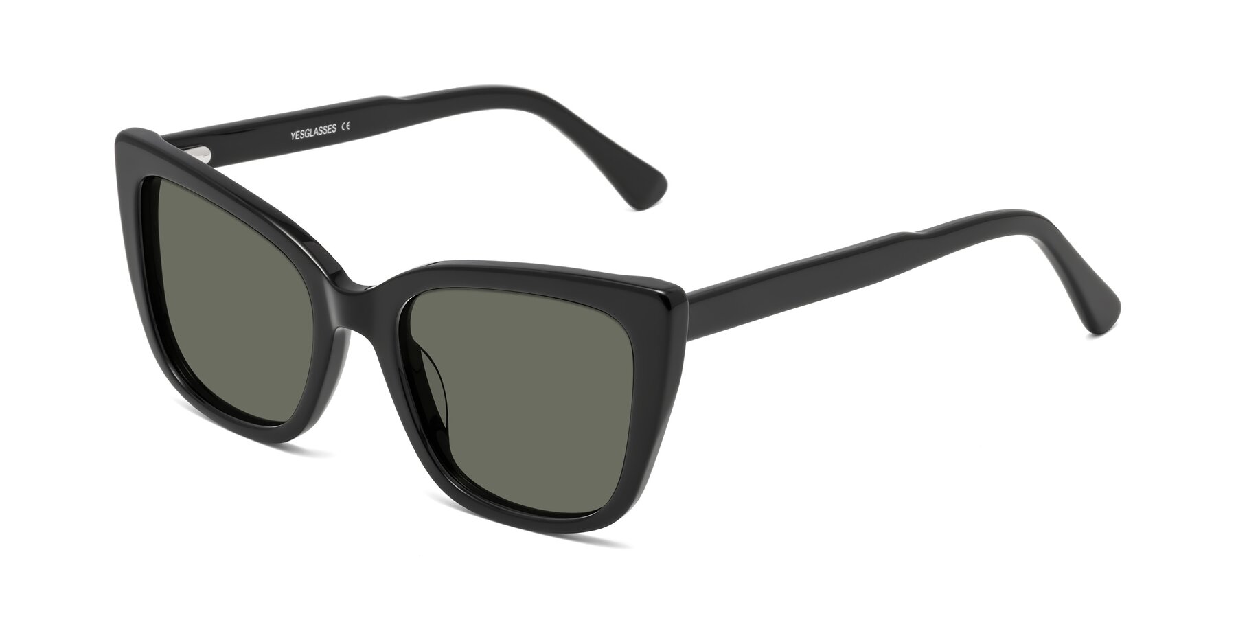 Angle of Sites in Black with Gray Polarized Lenses