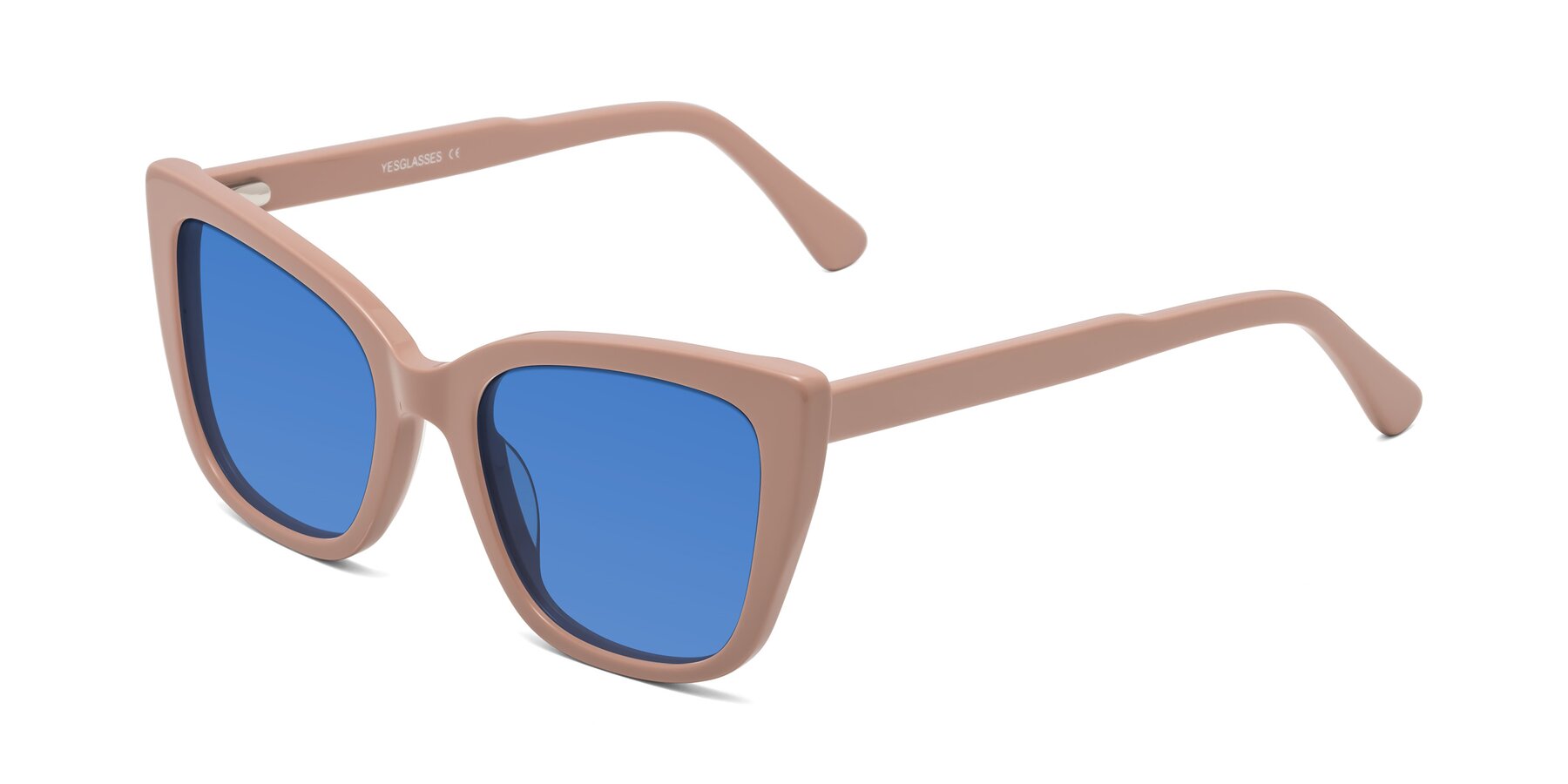 Angle of Sites in Dusty Mauve with Blue Tinted Lenses