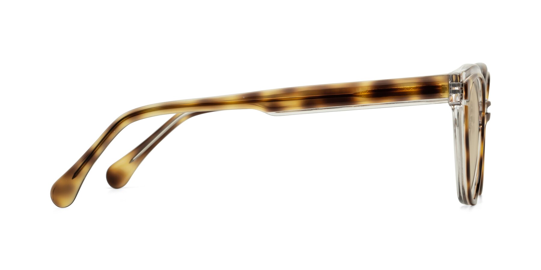 Side of Forest in Brown Tortoise with Light Brown Tinted Lenses