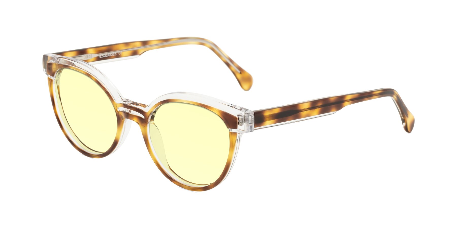 Angle of Forest in Brown Tortoise with Light Yellow Tinted Lenses