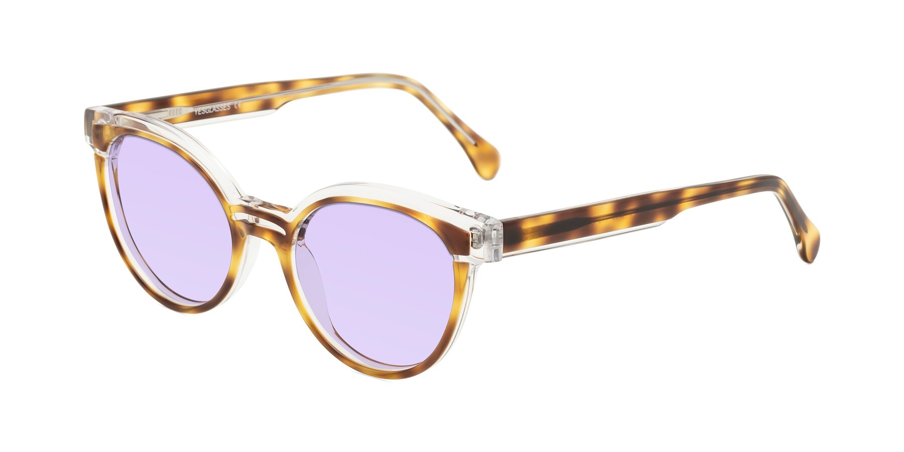 Angle of Forest in Brown Tortoise with Light Purple Tinted Lenses