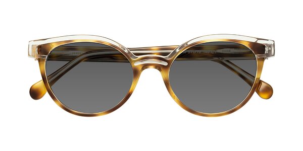 Front of Forest in Brown Tortoise