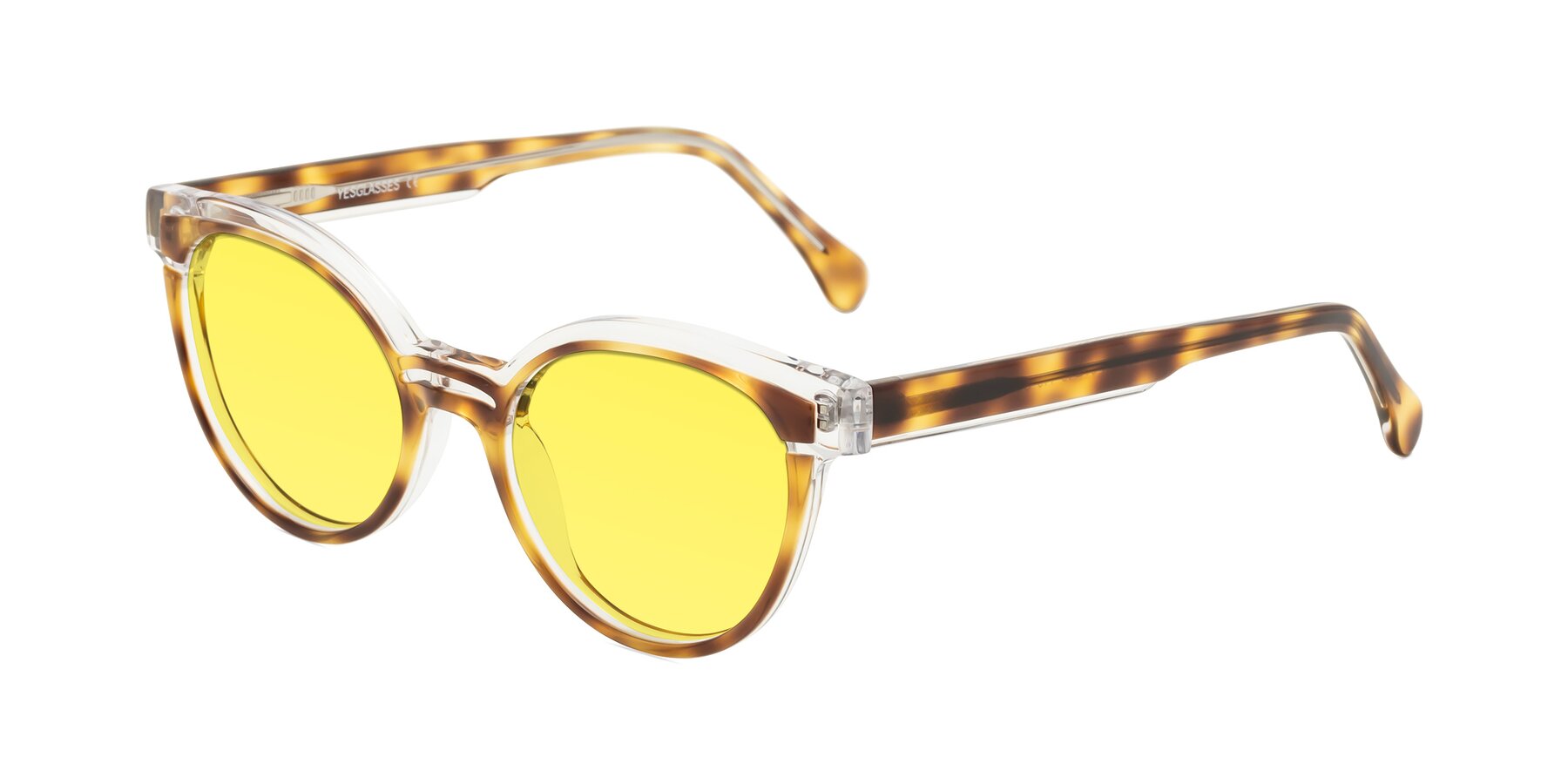 Angle of Forest in Brown Tortoise with Medium Yellow Tinted Lenses