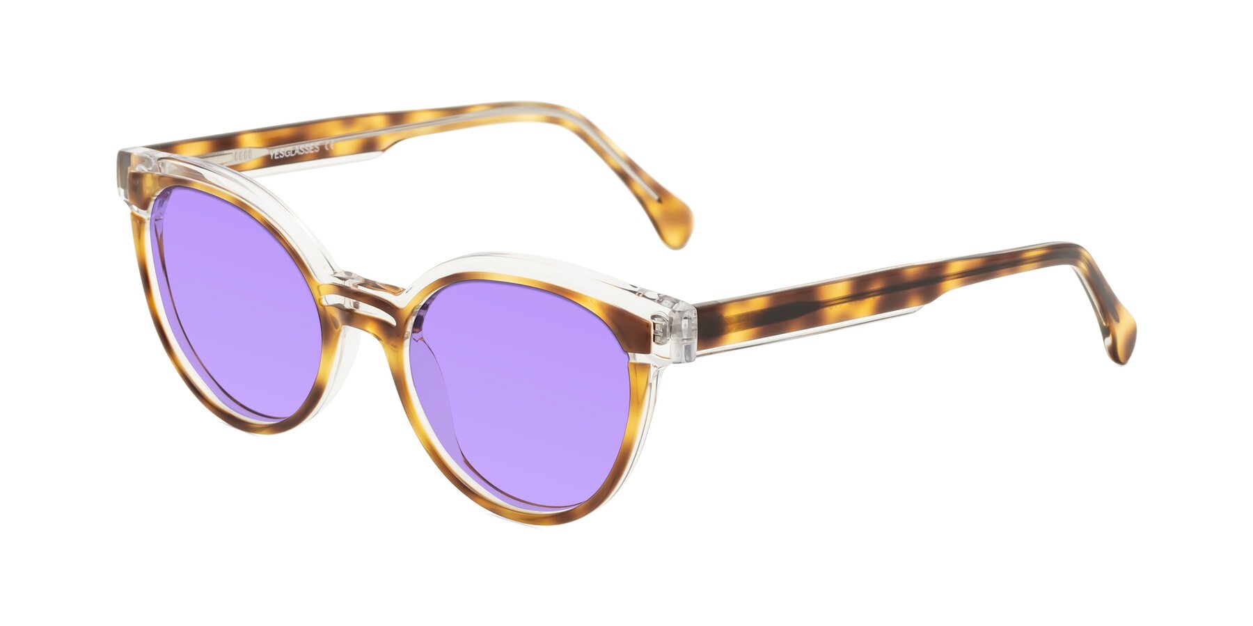Angle of Forest in Brown Tortoise with Medium Purple Tinted Lenses
