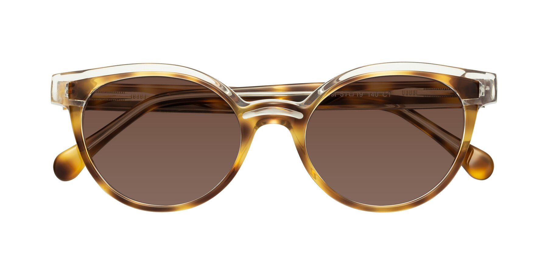 Folded Front of Forest in Brown Tortoise with Brown Tinted Lenses