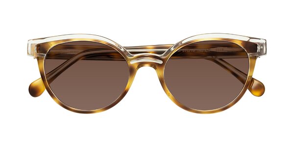 Front of Forest in Brown Tortoise