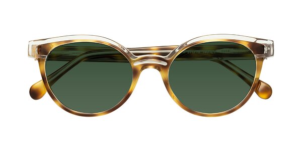 Front of Forest in Brown Tortoise