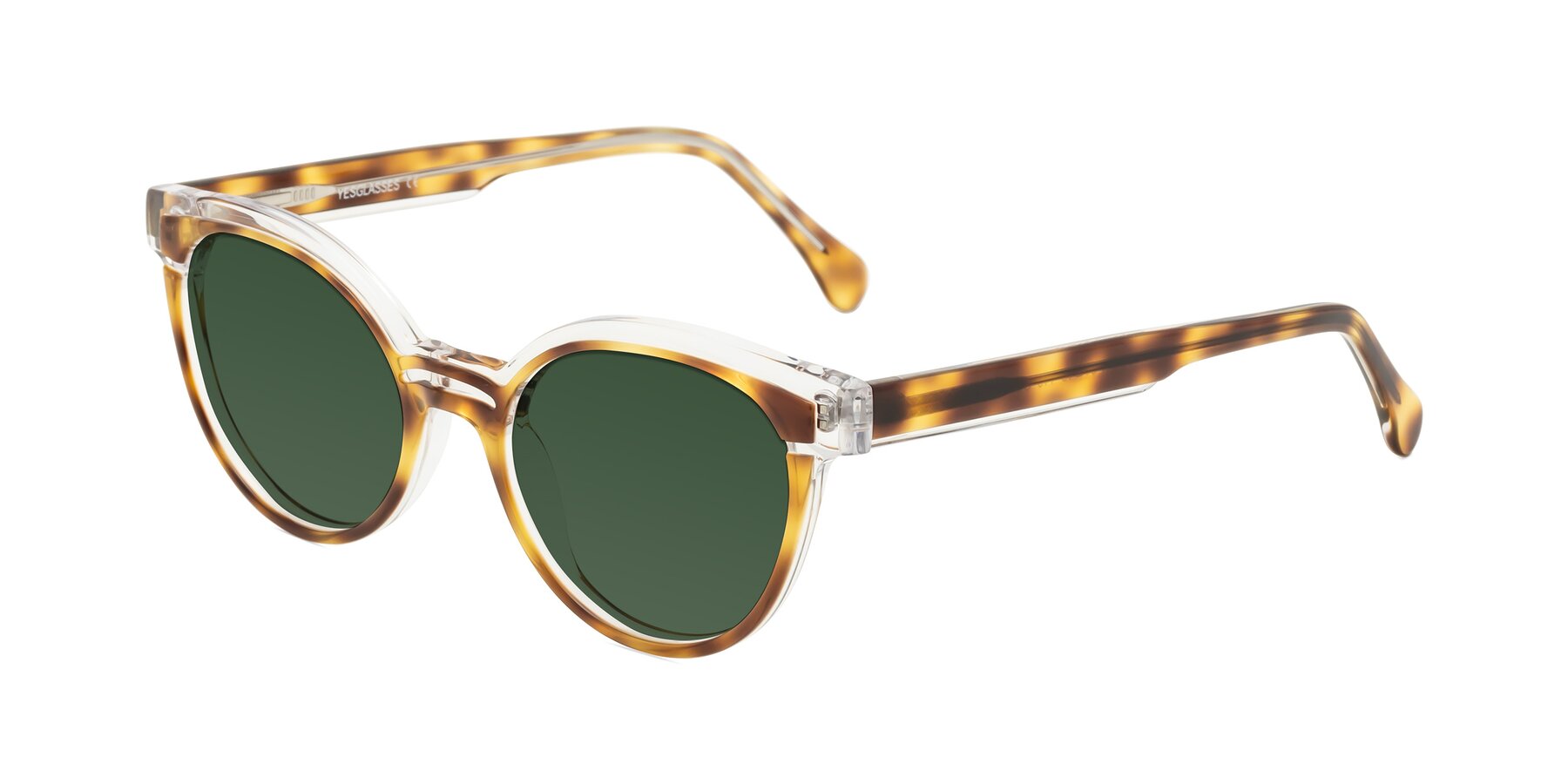 Angle of Forest in Brown Tortoise with Green Tinted Lenses