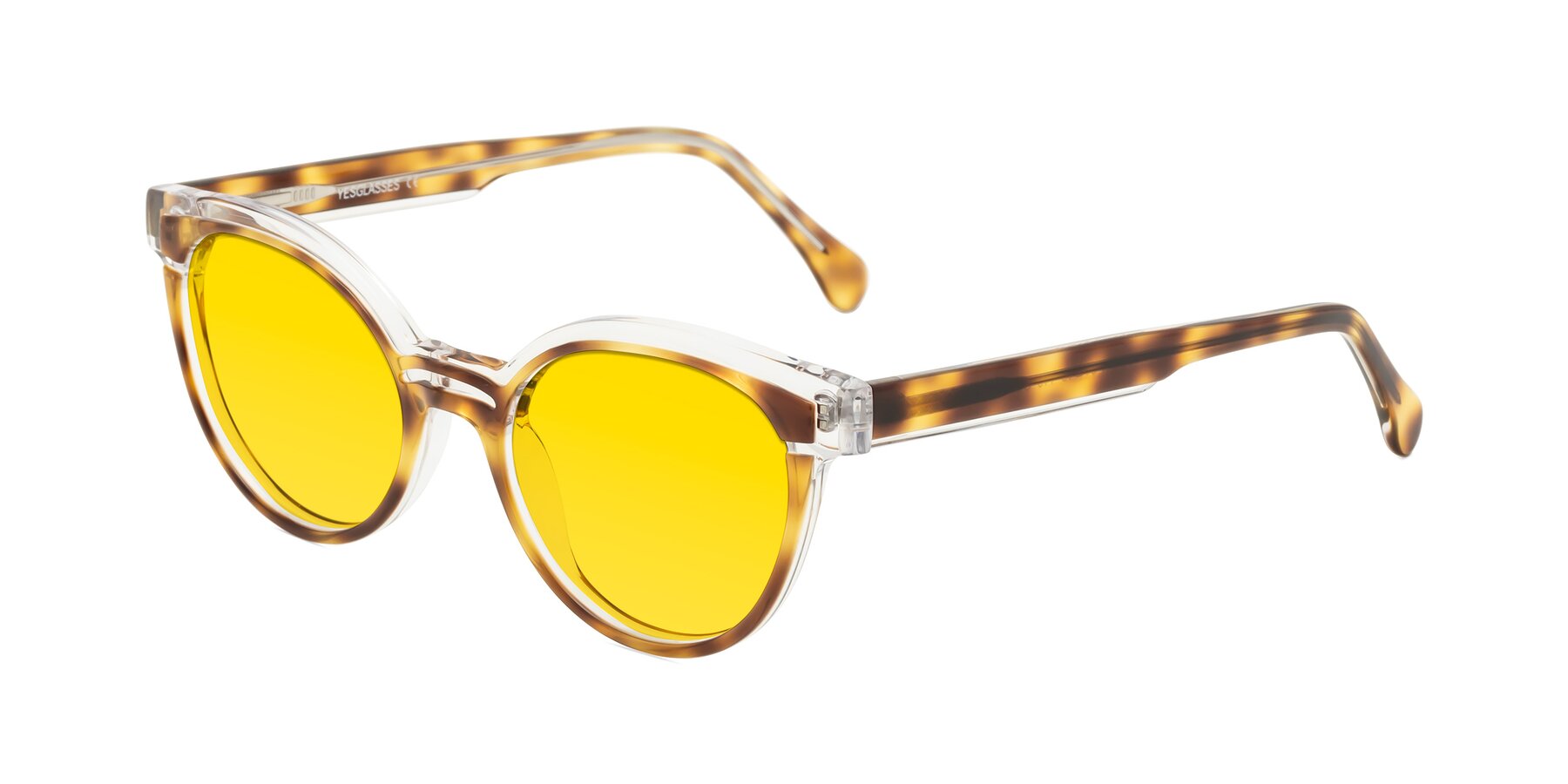 Angle of Forest in Brown Tortoise with Yellow Tinted Lenses