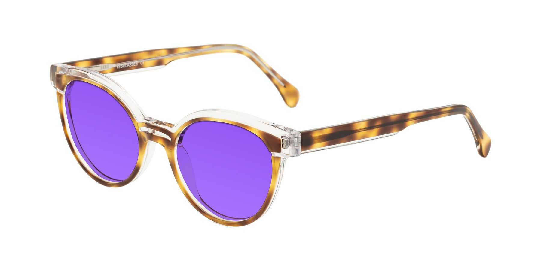 Angle of Forest in Brown Tortoise with Purple Tinted Lenses