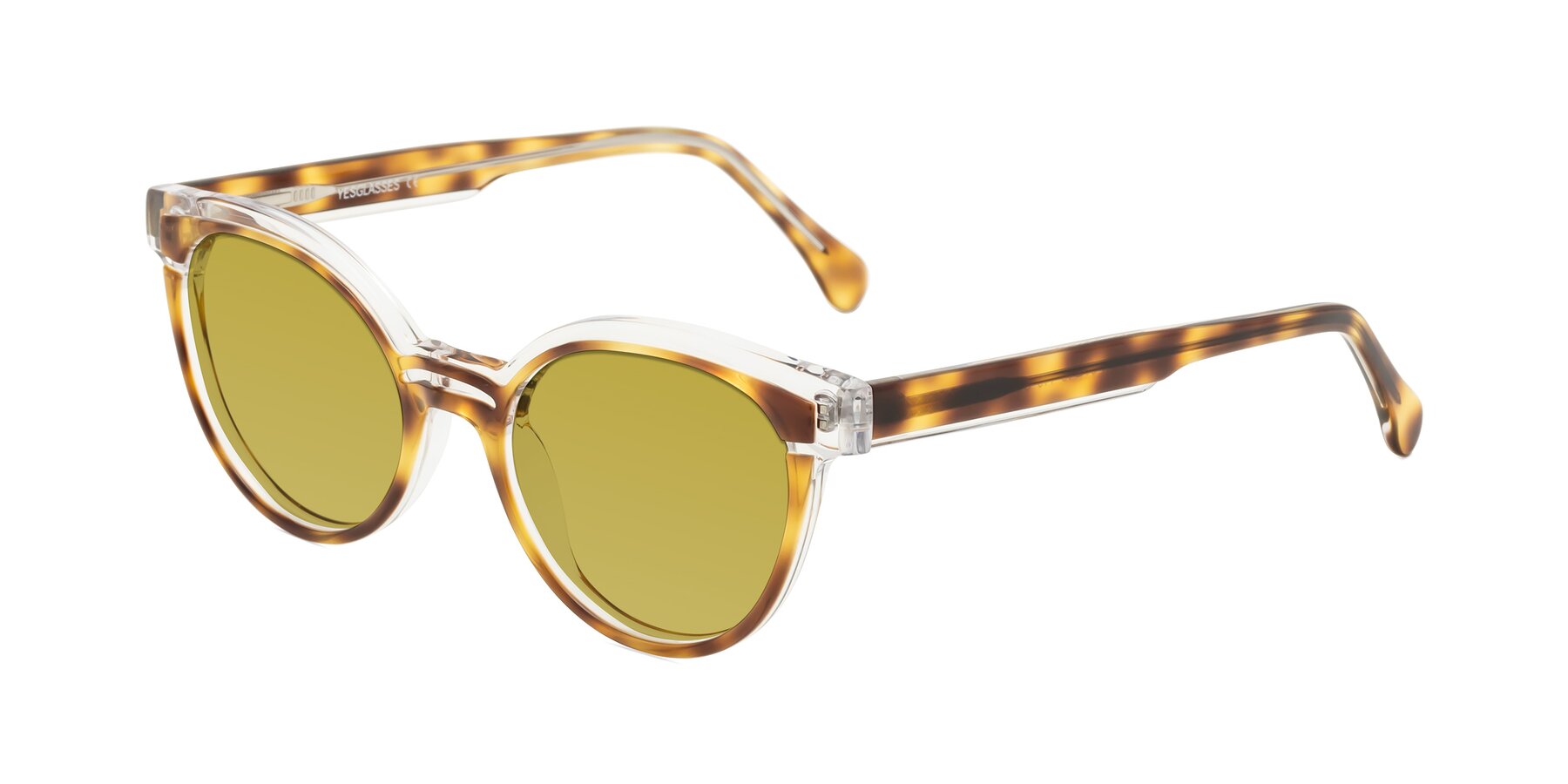 Angle of Forest in Brown Tortoise with Champagne Tinted Lenses