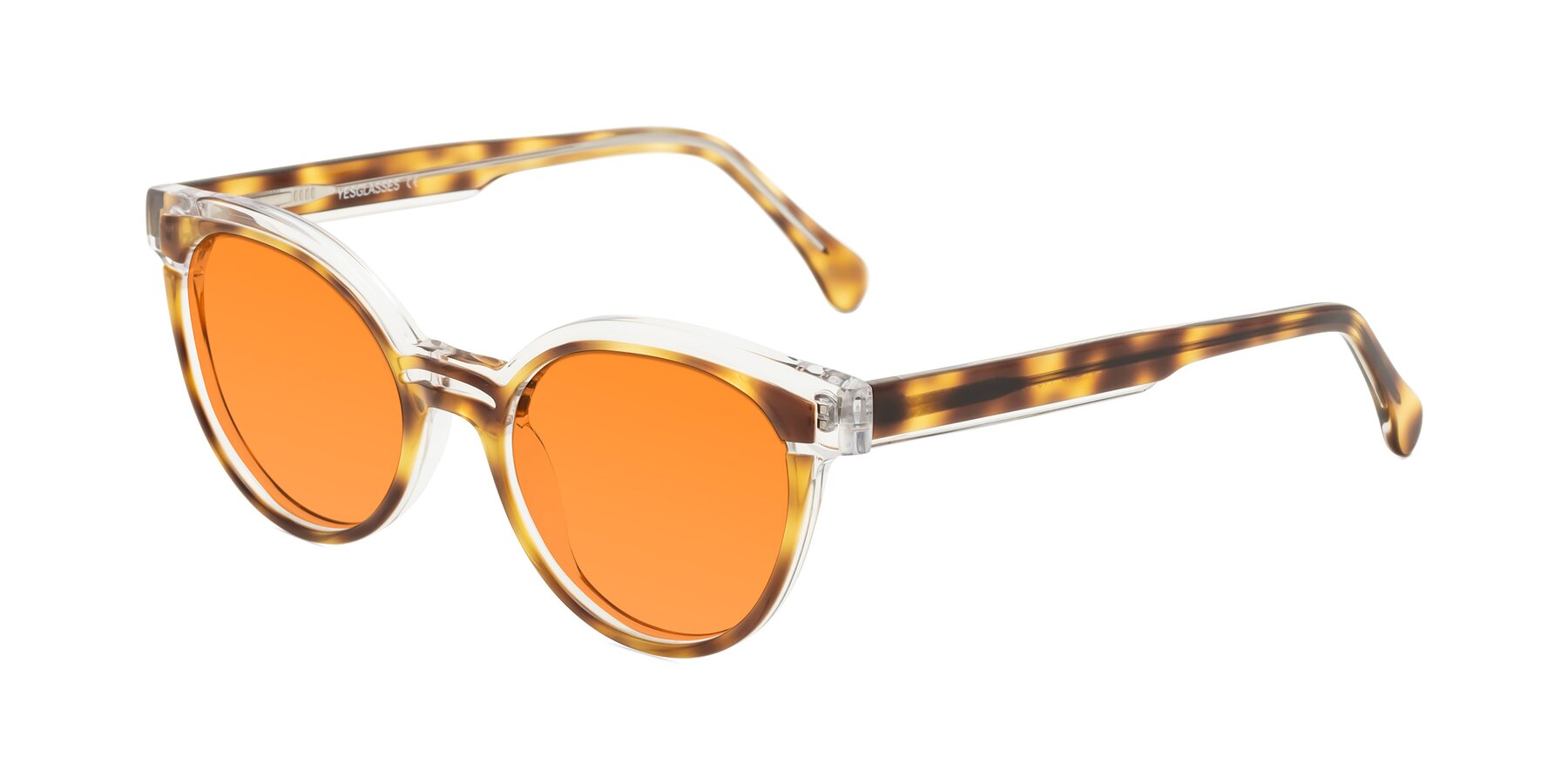 Angle of Forest in Brown Tortoise with Orange Tinted Lenses