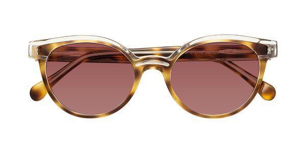 Front of Forest in Brown Tortoise