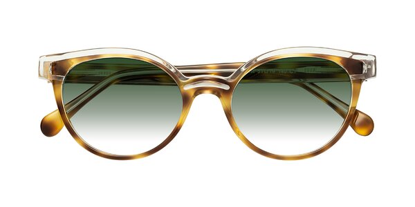 Front of Forest in Brown Tortoise