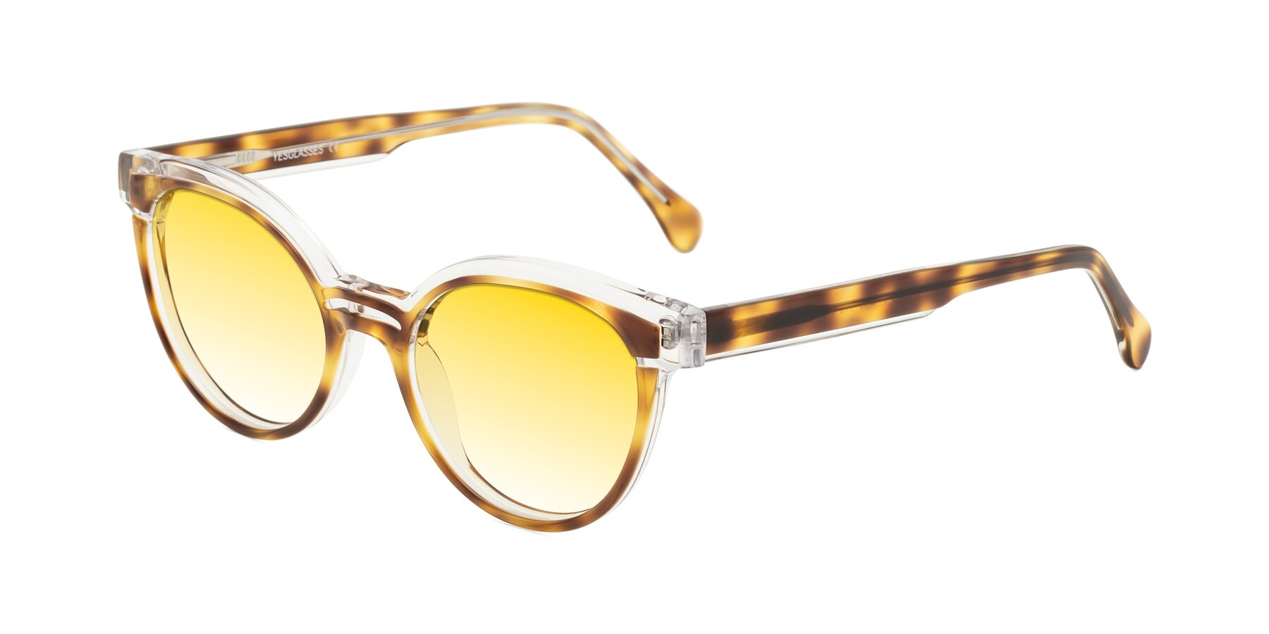 Angle of Forest in Brown Tortoise with Yellow Gradient Lenses