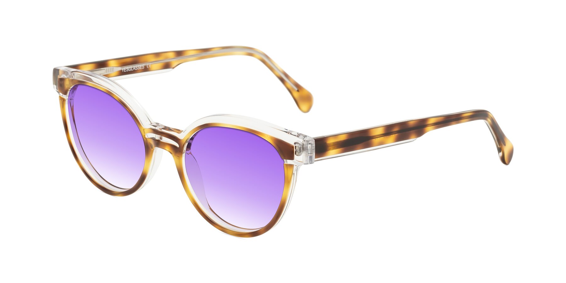 Angle of Forest in Brown Tortoise with Purple Gradient Lenses