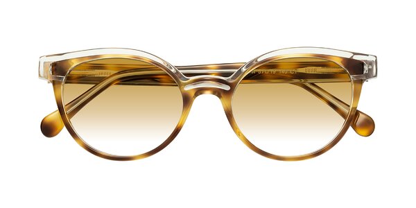 Front of Forest in Brown Tortoise