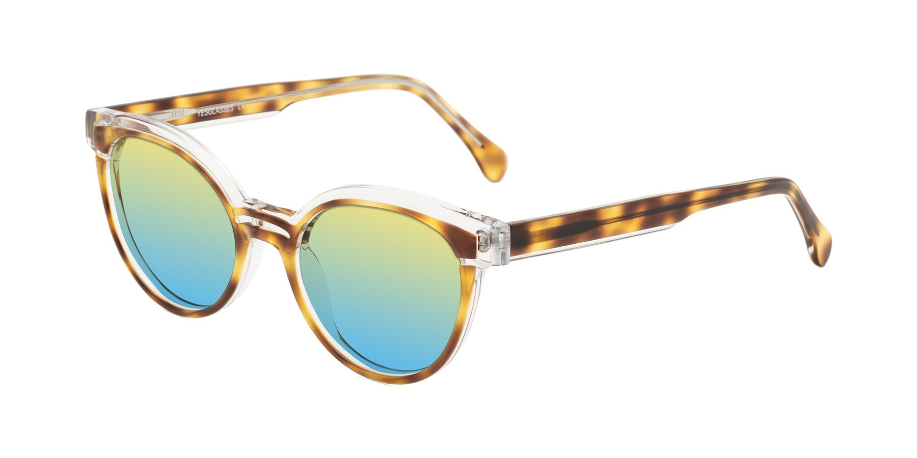 Angle of Forest in Brown Tortoise with Yellow / Blue Gradient Lenses