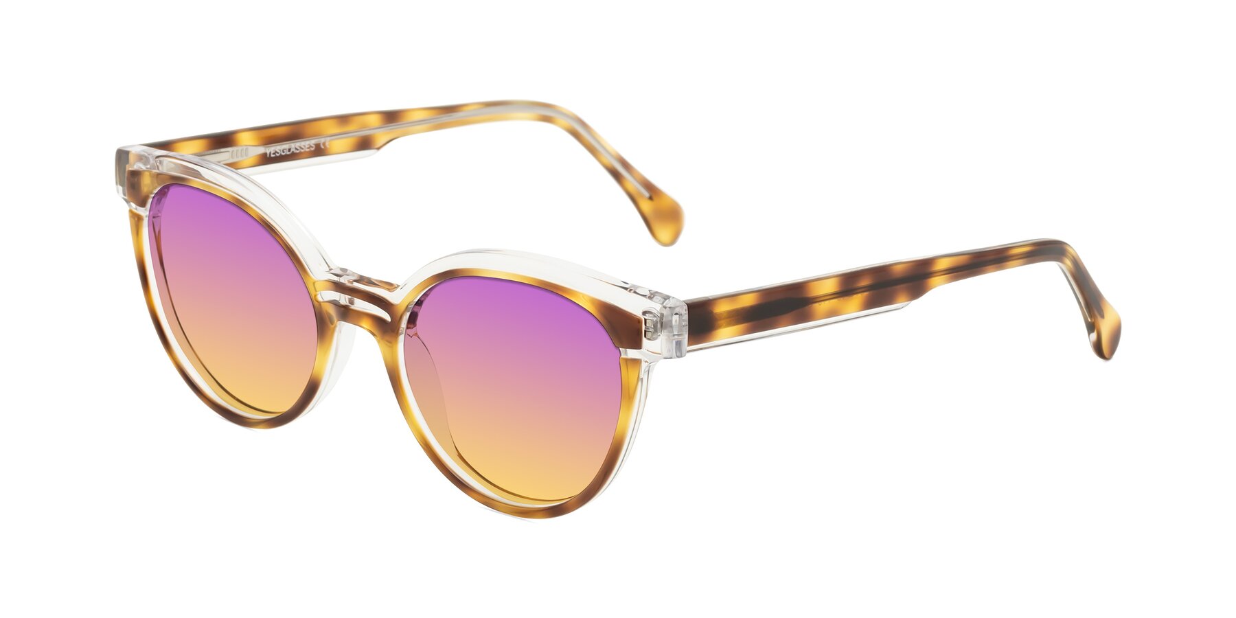 Angle of Forest in Brown Tortoise with Purple / Yellow Gradient Lenses
