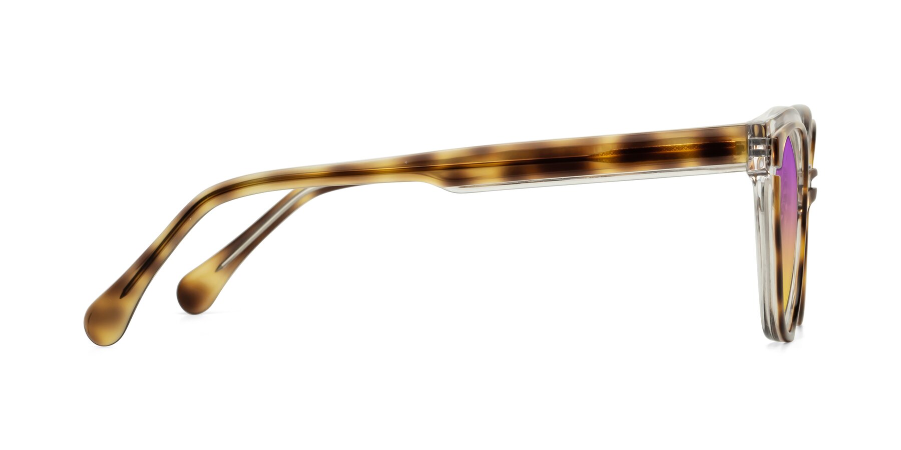 Side of Forest in Brown Tortoise with Purple / Yellow Gradient Lenses