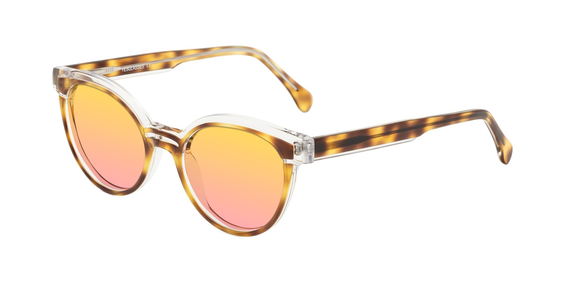 Angle of Forest in Brown Tortoise with Yellow / Pink Gradient Lenses