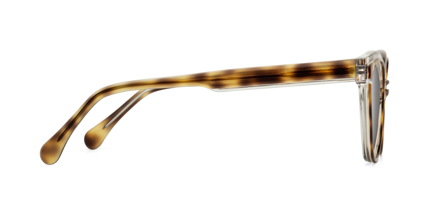 Side of Forest in Brown Tortoise with Silver Mirrored Lenses