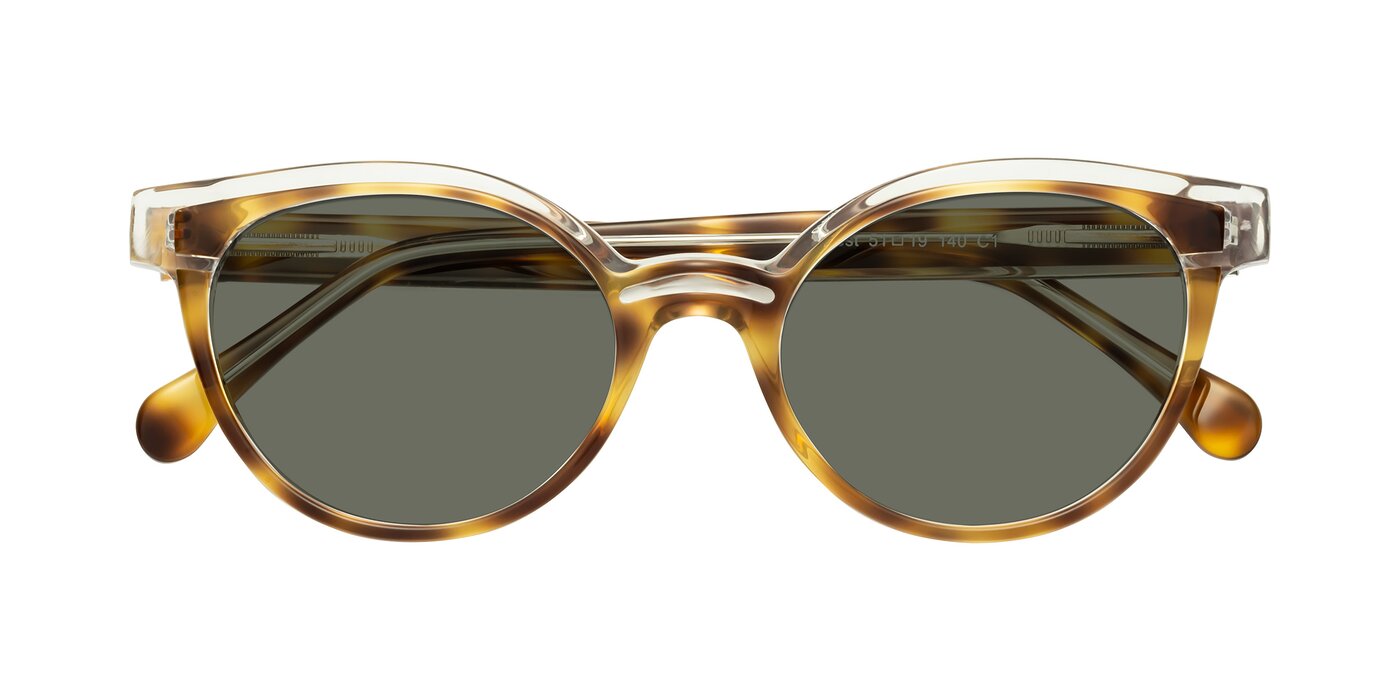 Forest - Brown Tortoise Polarized Sunglasses