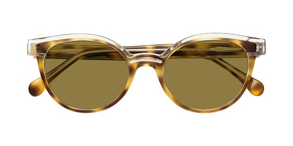 Front of Forest in Brown Tortoise