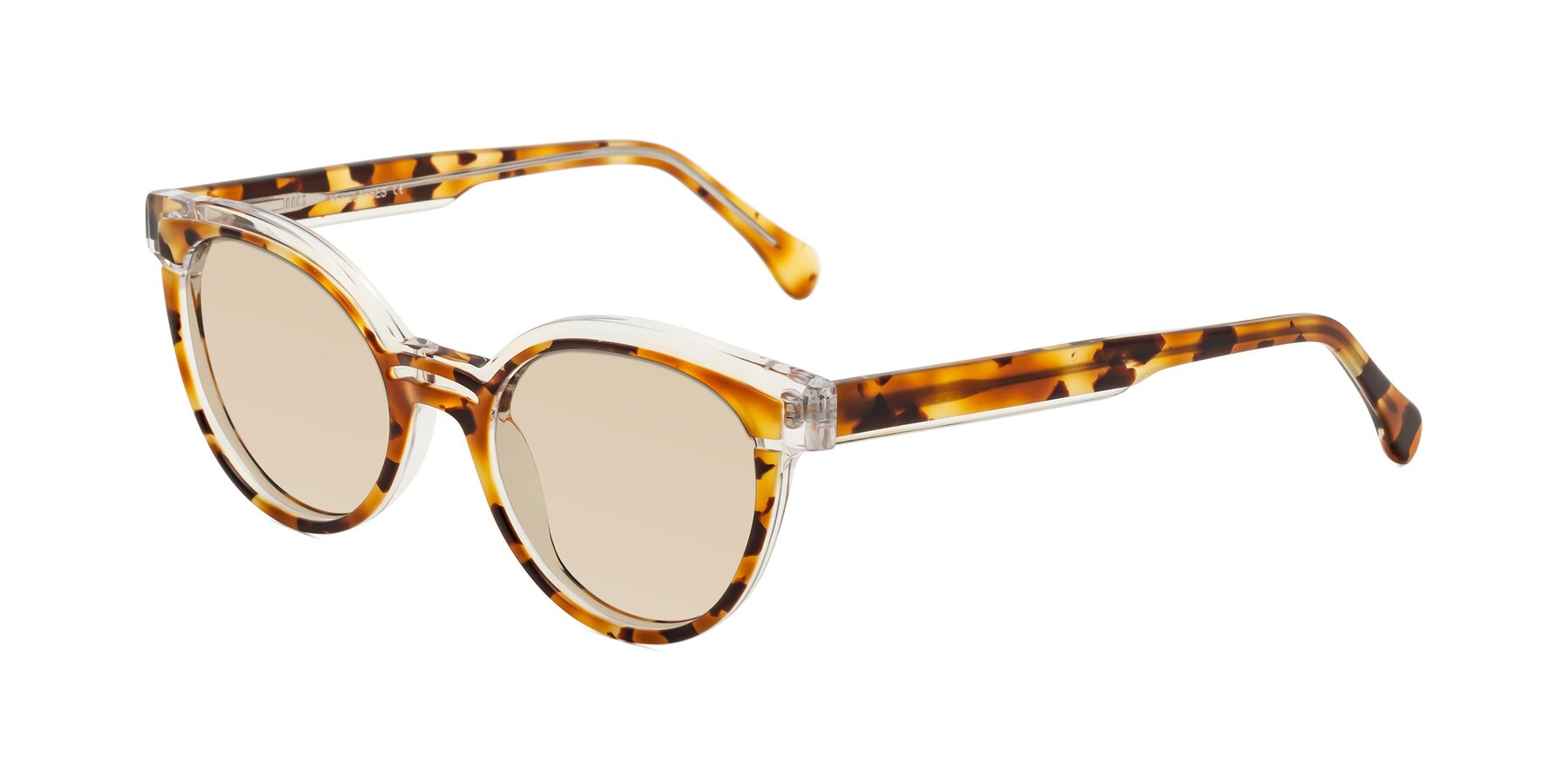 Angle of Forest in Ginger Tortoise with Light Brown Tinted Lenses