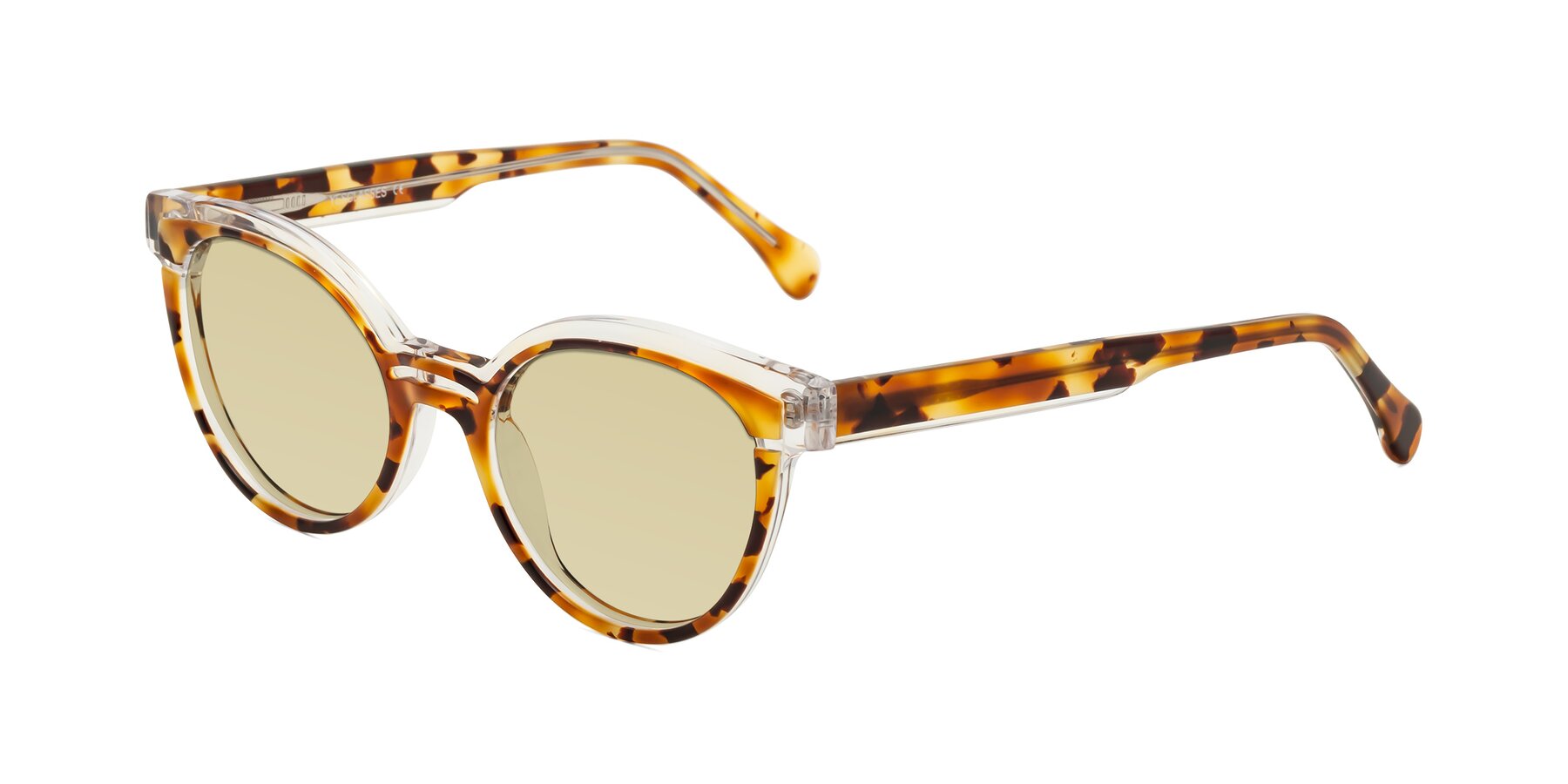 Angle of Forest in Ginger Tortoise with Light Champagne Tinted Lenses
