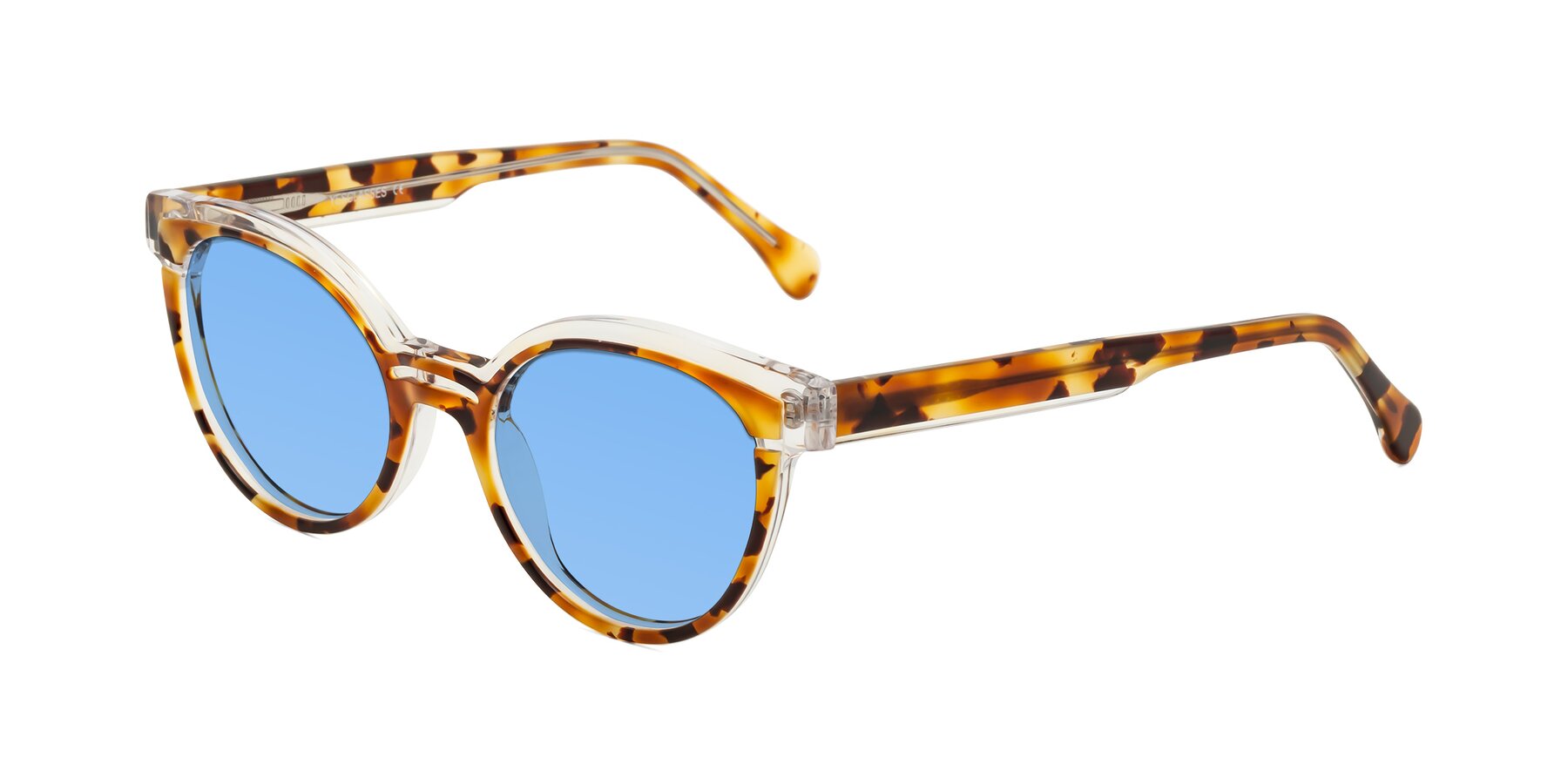 Angle of Forest in Ginger Tortoise with Medium Blue Tinted Lenses