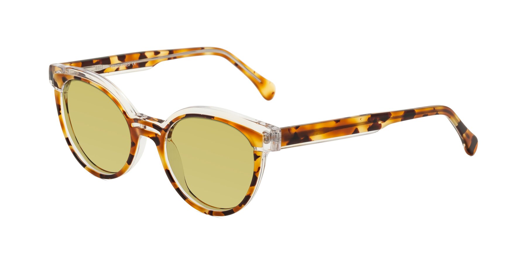 Angle of Forest in Ginger Tortoise with Medium Champagne Tinted Lenses