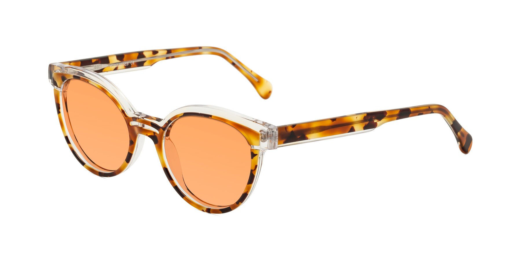 Angle of Forest in Ginger Tortoise with Medium Orange Tinted Lenses