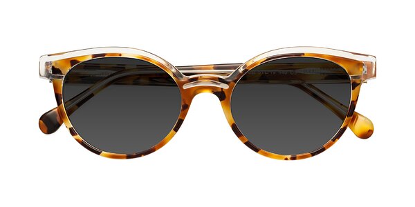 Front of Forest in Ginger Tortoise