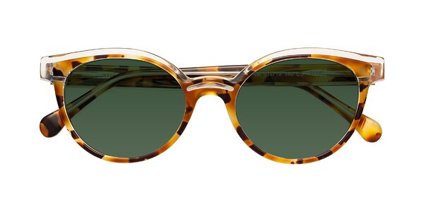 Front of Forest in Ginger Tortoise