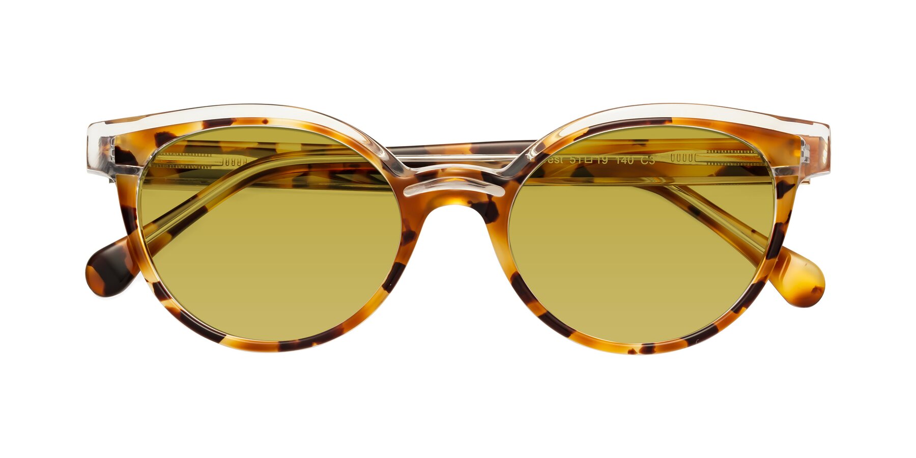 Folded Front of Forest in Ginger Tortoise with Champagne Tinted Lenses