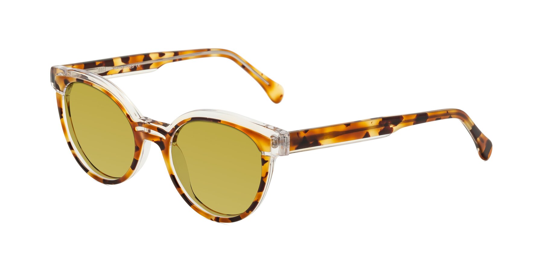 Angle of Forest in Ginger Tortoise with Champagne Tinted Lenses