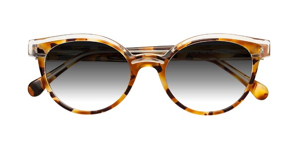 Front of Forest in Ginger Tortoise