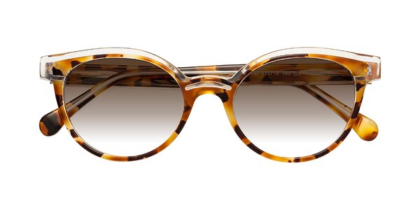 Front of Forest in Ginger Tortoise